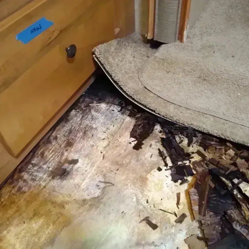 Wood Floor Water Damage in Fond du Lac County, WI